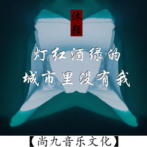 灯红酒绿的城市没有我