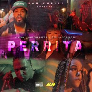 Perrita (feat. Queen Parker & SPS La Sorpresa) (Explicit)