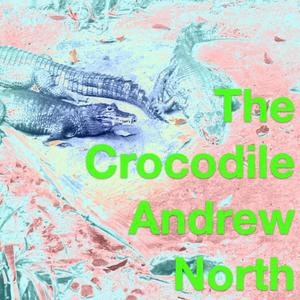 The Crocodile