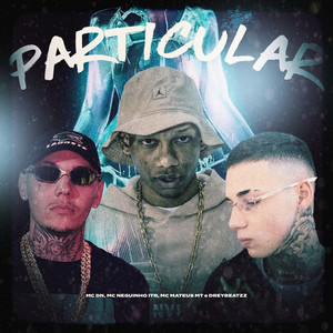 Particular (Explicit)