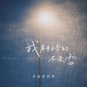 我期待的不是雪 (治愈版)