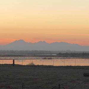 run alone (Explicit)