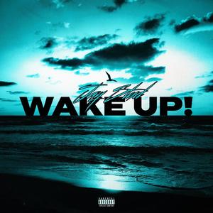 Wake Up! 333 (Explicit)