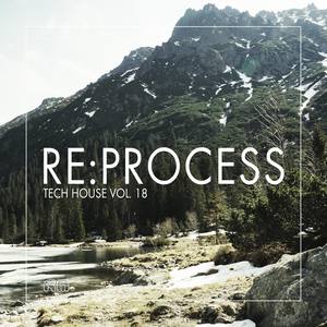 Re:Process - Tech House, Vol. 18