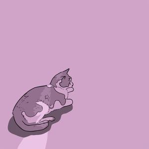 a cat gets stuck in the overhead bin