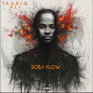 SOSA FLOW (Explicit)