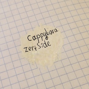 Cappybara (Explicit)