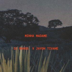 Minha Madame (feat. Jayon Tivane)