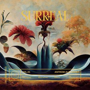 Surreal Instrumental (feat. Tauwoo)