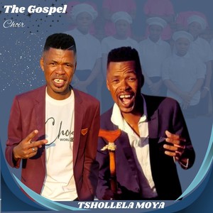 Tshollela Moya