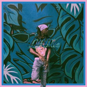 lil hoe (i know) [Explicit]