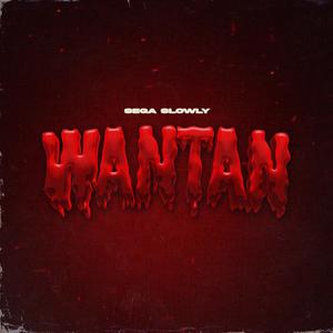 Wantán (Explicit)