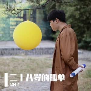 二十八岁的孤单