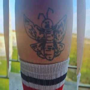 Papillon Crade (Explicit)