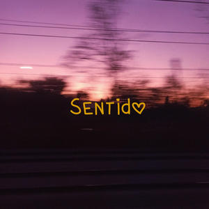 Sentido