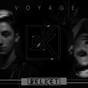 Voyage