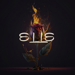 Step by Step (Explicit)