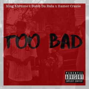 Too Bad (feat. Dubb Darula & hamer Crazie) [Explicit]