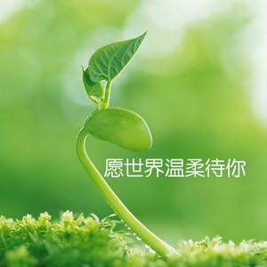生如夏花 (口白)封面