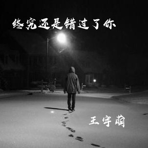 终究还是错过了