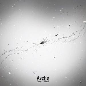 Masti - Asche
