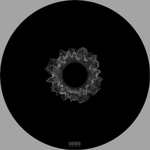 Not Your House (Federico Chiotto Remix)