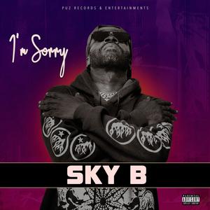 I'm sorry (feat. Sky B)