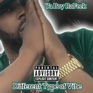 Different Type Of Vibe (Explicit)