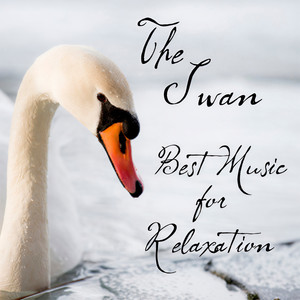 Best Music for Relaxation: The Swan