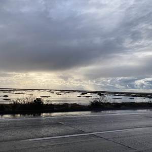 Javier Rodríguez - Iridescent