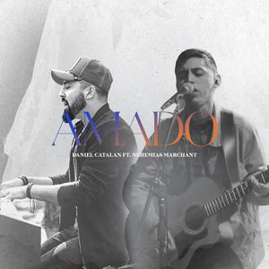 Amado (feat. Nehemias Marchant)