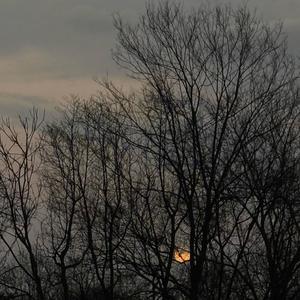 I Don't Need Her (Like I Did) (Explicit)