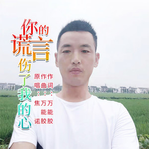 你的谎言伤了我的心