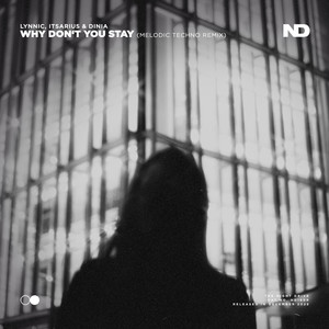 Why Don't You Stay (Melodic Techno Extended Remix)