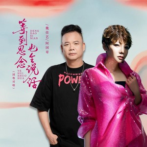 等到思念也会说话 (DJ阿越国粤对唱版)