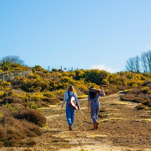 Pleasure Has a Sting in It's Tail