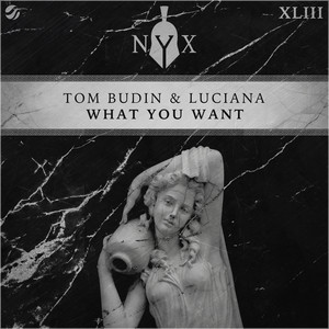 What You Want (Explicit)