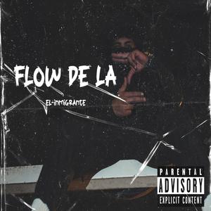 FLOW DE LA Z (Explicit)