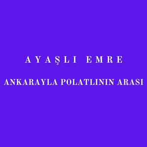 Ankarayla Polatlının Arası