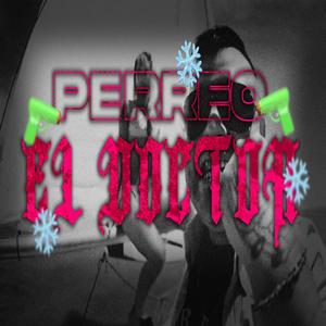 PERREO EL DOCTOR (Explicit)