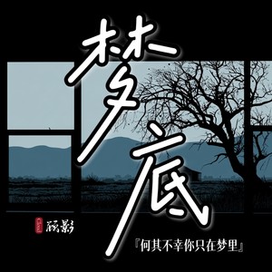 梦底（何其不幸你只在梦里）