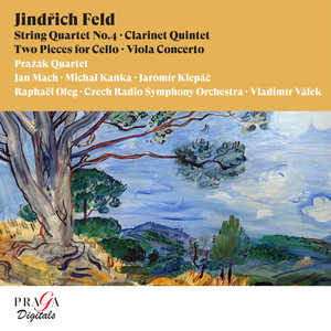 Concerto for Alto and Full Orchestra, J. 208: II. Allegro con spirito