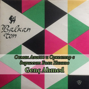 Senin gibisini bulamadım