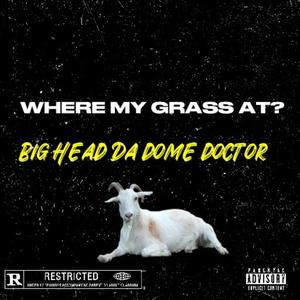 Where my grass at? (Explicit)