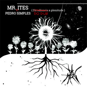 Dub da Noite(Feat. Pedro Simples)