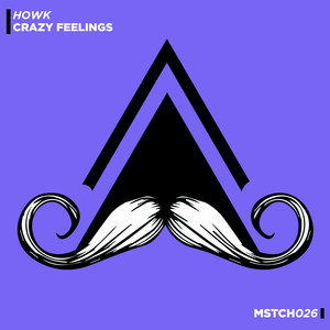 Crazy Feelings (Radio Edit)