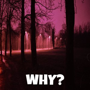 Why? (Explicit)