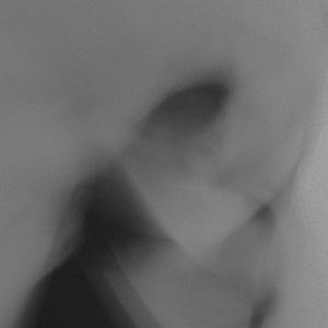 don't cry over spilled milk (Explicit)