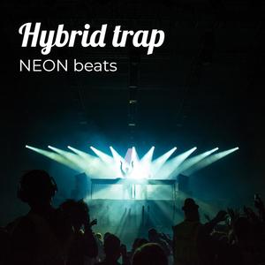 Hybrid Trap