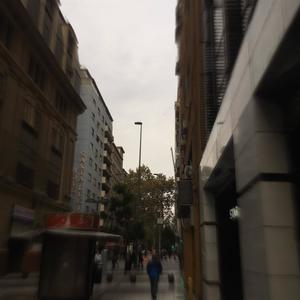 tacaños